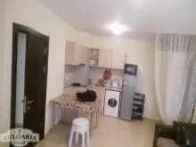 Miniaturka