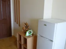 Miniaturka