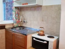 Miniaturka