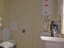 Miniaturka