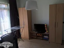 Miniaturka