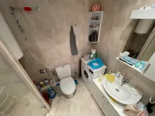 Miniaturka