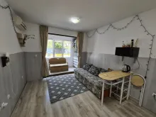 Miniaturka