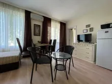 Miniaturka