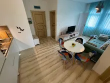 Miniaturka
