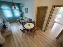 Miniaturka