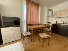 Miniaturka