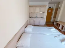 Miniaturka