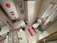 Miniaturka