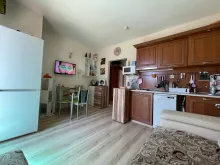 Miniaturka