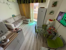 Miniaturka