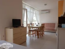 Miniaturka