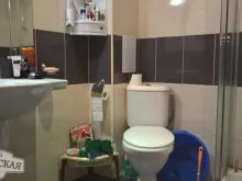 Miniaturka