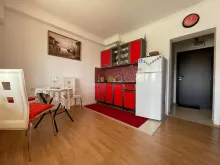 Miniaturka