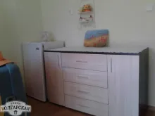 Miniaturka