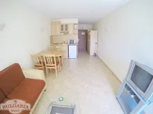 Miniaturka