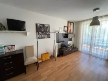 Miniaturka