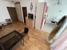 Miniaturka