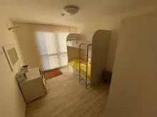 Miniaturka