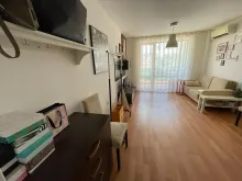 Miniaturka