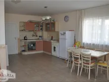 Miniaturka