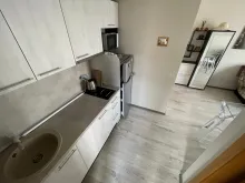 Miniaturka