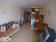 Miniaturka