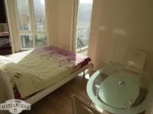 Miniaturka