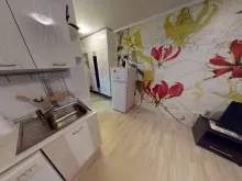 Miniaturka
