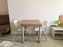 Miniaturka