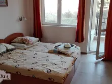 Miniaturka