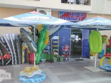 Miniaturka