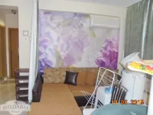 Miniaturka