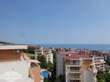 Miniaturka