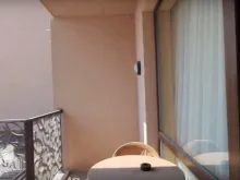 Miniaturka