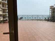 Miniaturka