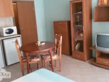 Miniaturka