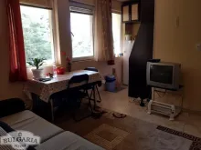 Miniaturka