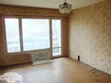 Miniaturka