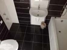 Miniaturka