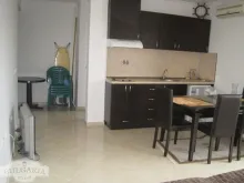 Miniaturka