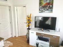 Miniaturka