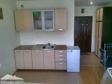 Miniaturka