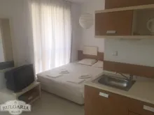 Miniaturka