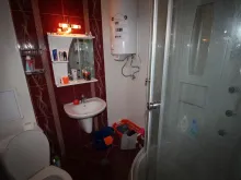 Miniaturka
