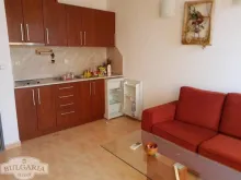 Miniaturka