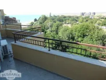 Miniaturka