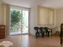 Miniaturka
