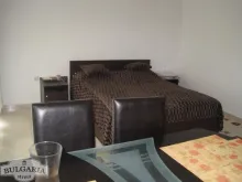Miniaturka