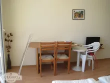 Miniaturka